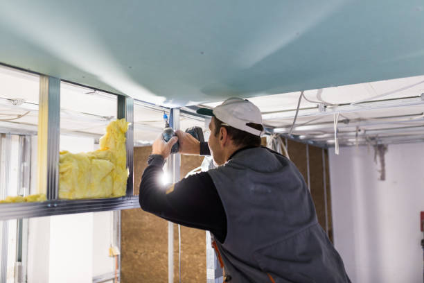 Best Geographic-Specific Insulation Services in Dover Plains, NY